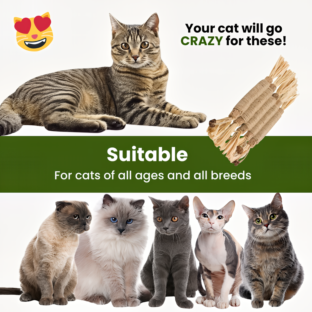 Natural Silvervine Sticks for Calm, Engaged, and Happy Cats