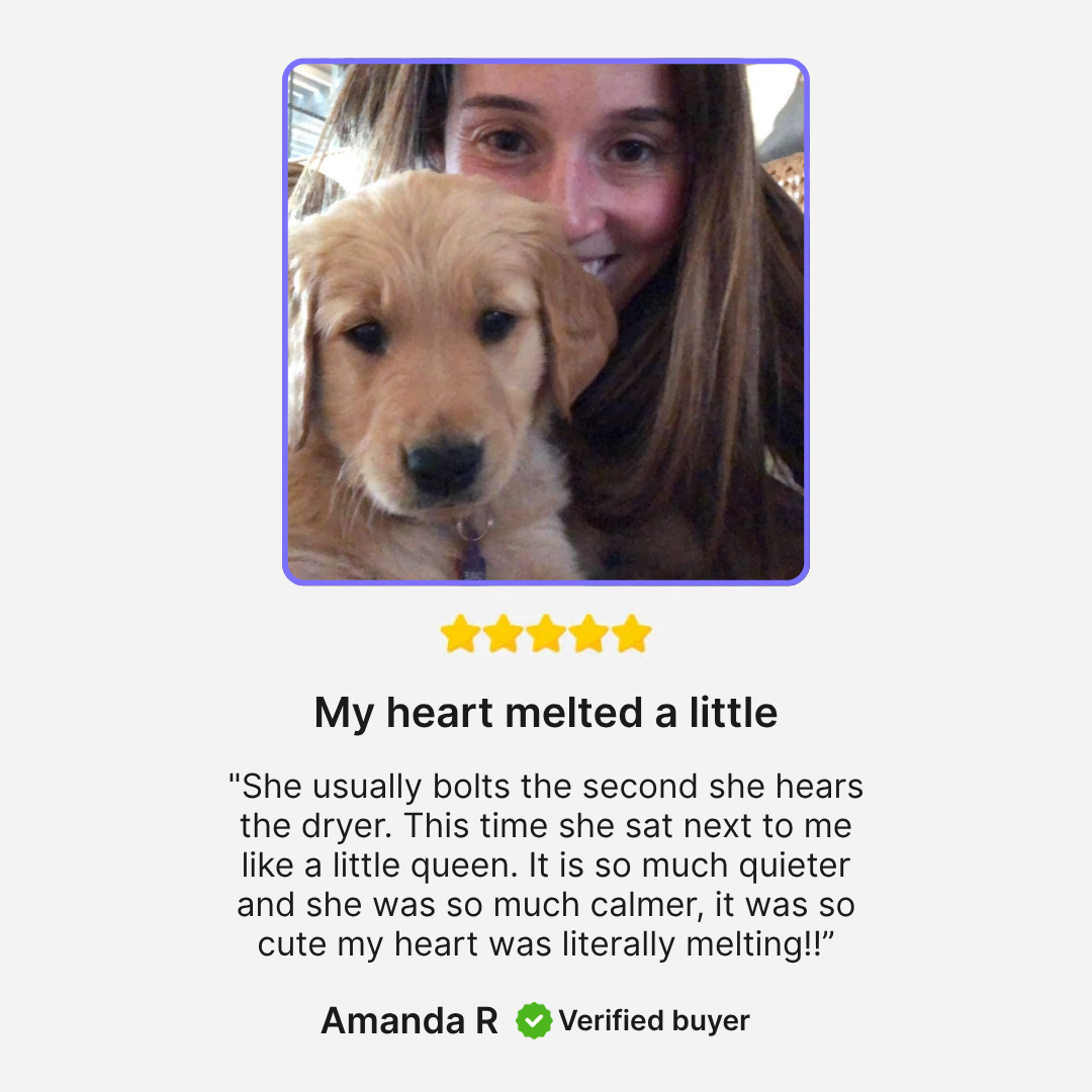 Groomi™ Silent Pet Hair Dryer