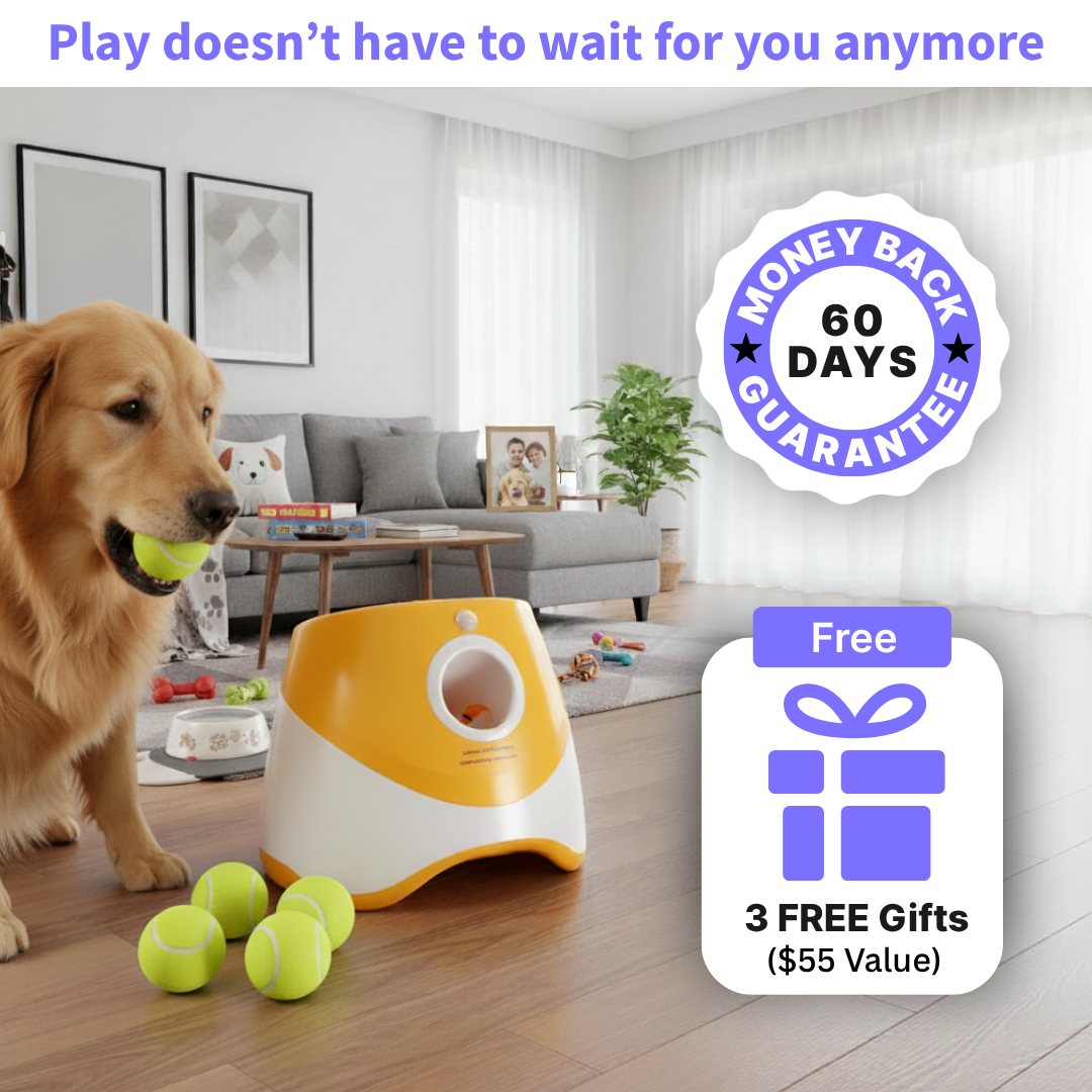 PlayPal™ The Portable Fetch Buddy