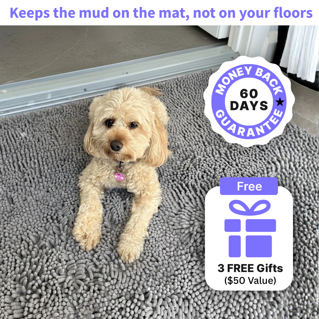 CleanPaws™ Mud Absorbing Mat