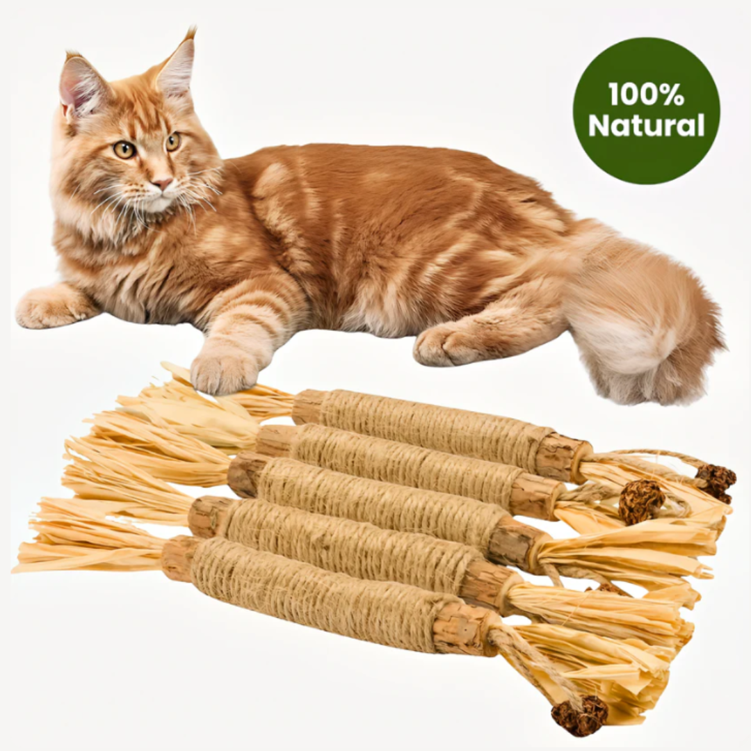 Natural Silvervine Sticks for Calm, Engaged, and Happy Cats
