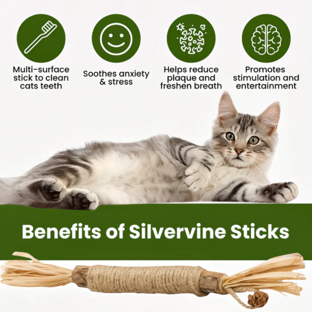 Natural Silvervine Sticks for Calm, Engaged, and Happy Cats