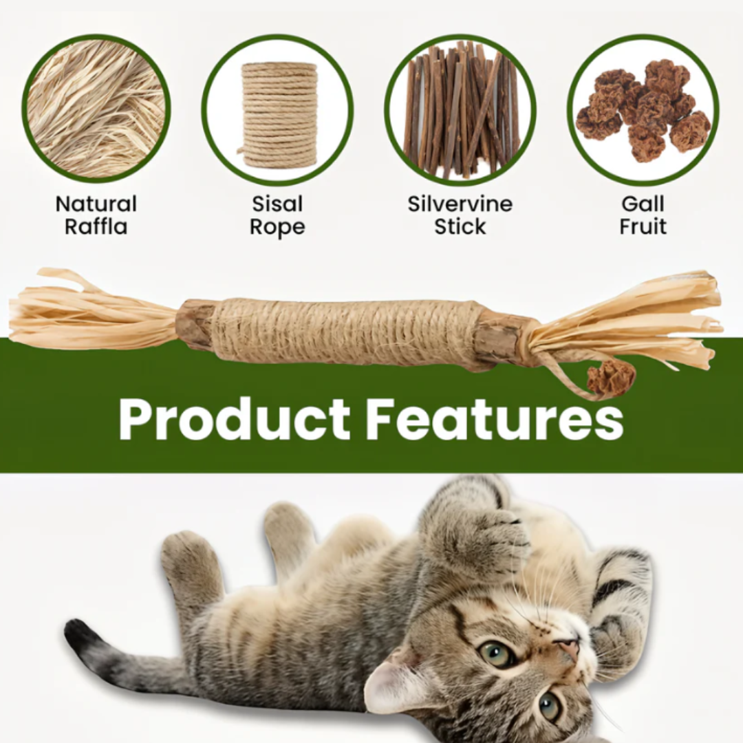 Natural Silvervine Sticks for Calm, Engaged, and Happy Cats