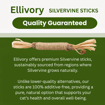 Natural Silvervine Sticks for Calm, Engaged, and Happy Cats