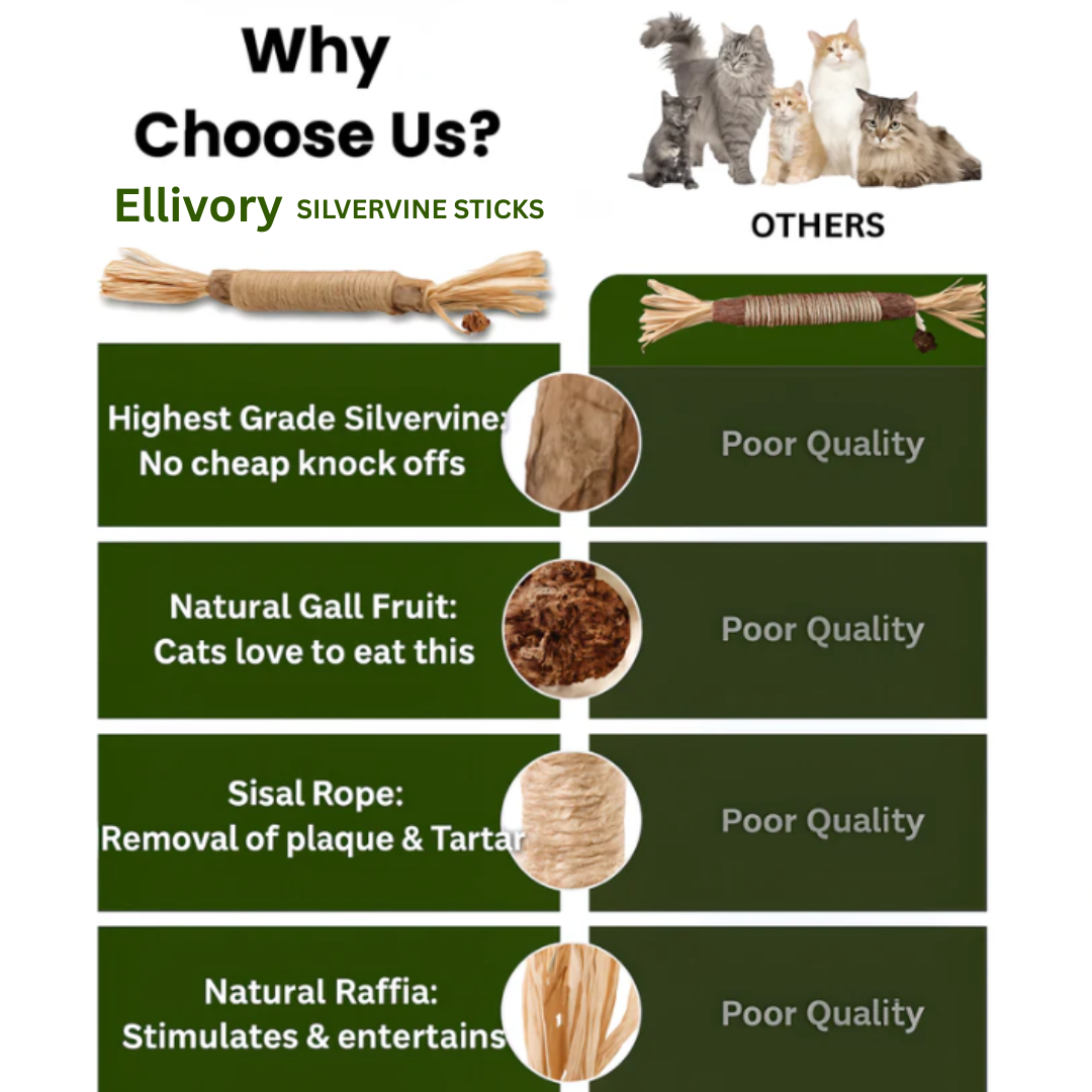 Natural Silvervine Sticks for Calm, Engaged, and Happy Cats
