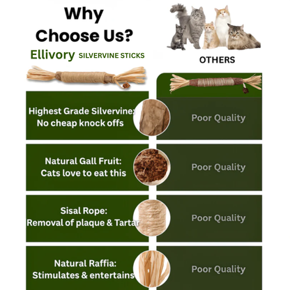 Natural Silvervine Sticks for Calm, Engaged, and Happy Cats