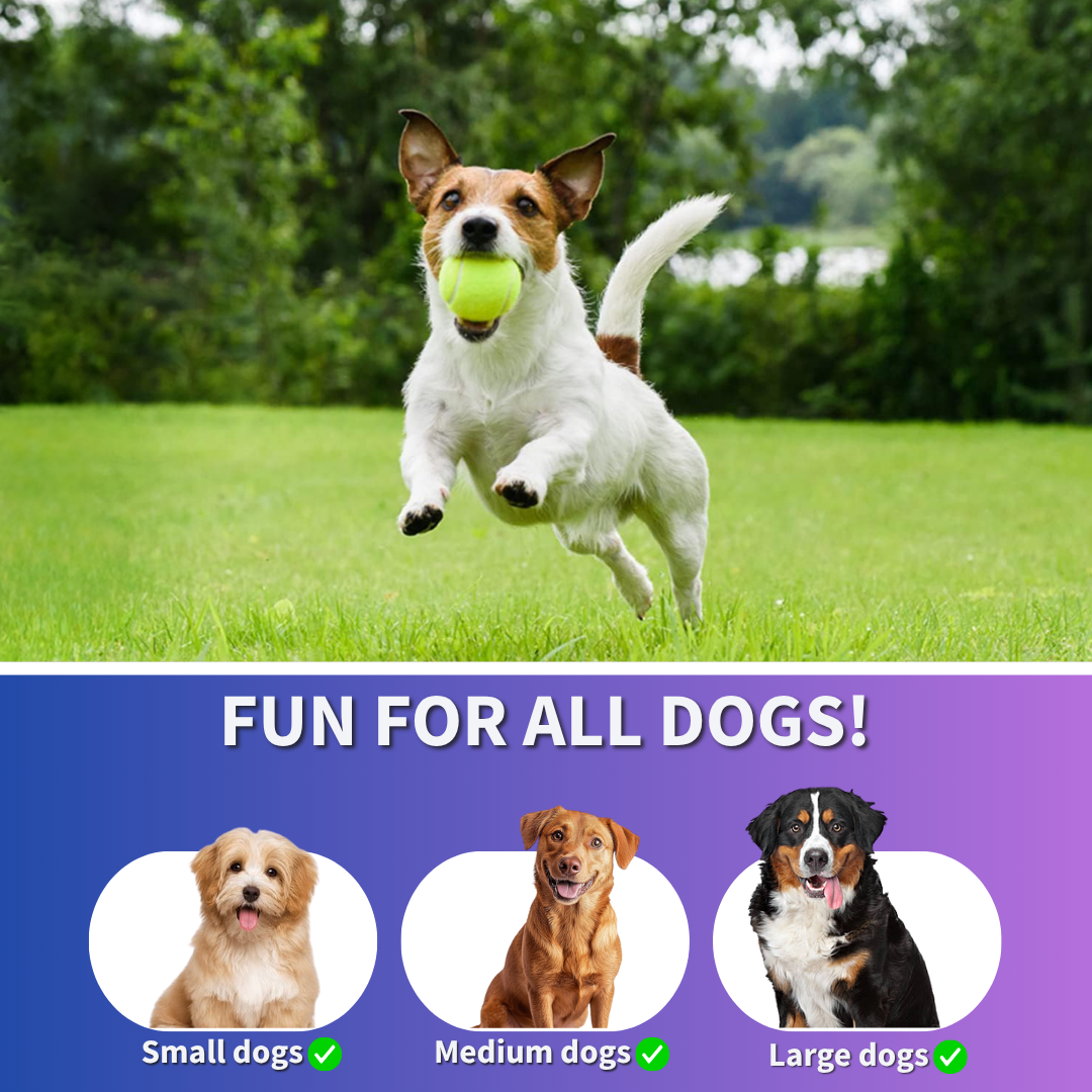 PlayPal™ The Portable Fetch Buddy