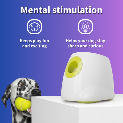 PlayPal™ The Portable Fetch Buddy