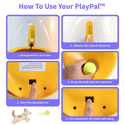 PlayPal™ The Portable Fetch Buddy