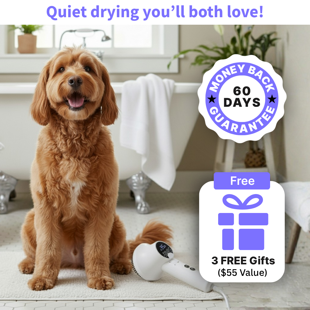 Groomi™ Silent Pet Hair Dryer
